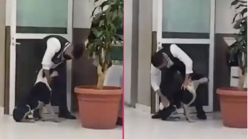 VIDEO: Conmueve guardia del IMSS por rescatar a perrito de las fuertes lluvias