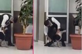 VIDEO: Conmueve guardia del IMSS por rescatar a perrito de las fuertes lluvias
