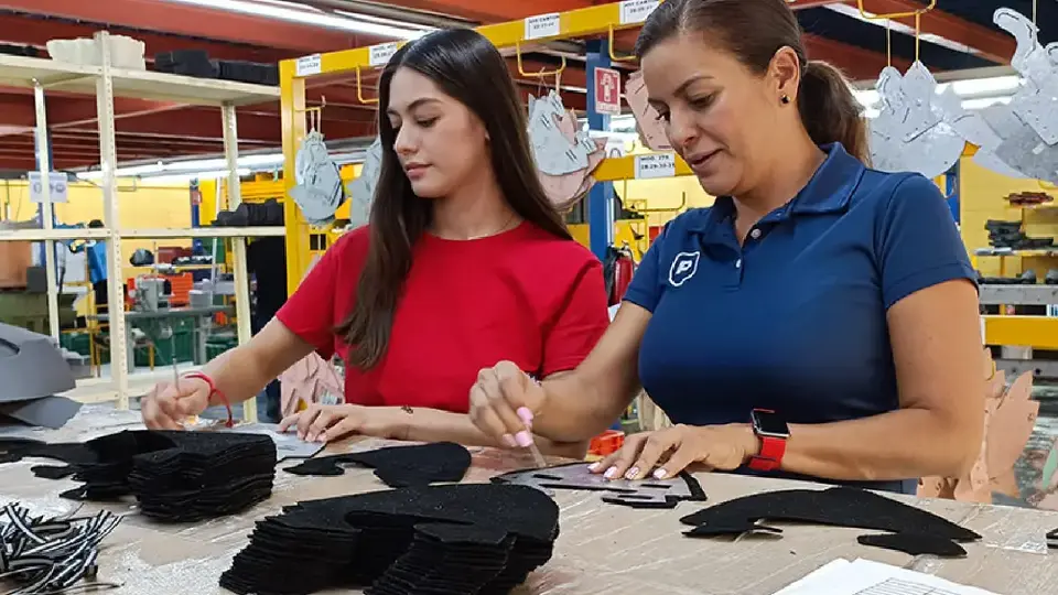 Perdí mi tarjeta de Jóvenes Construyendo el Futuro: ¿qué hago y dónde reportarlo?