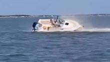 Muere una ballena tras chocar contra un bote en Nueva Jersey; un pasajero cayó al agua