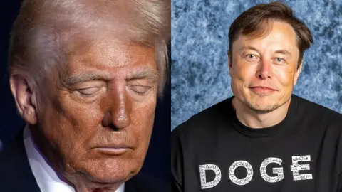 Elon Musk borra tuit en el que vinculaba a Trump con el caso Epstein