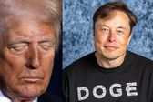 Elon Musk borra tuit en el que vinculaba a Trump con el caso Epstein