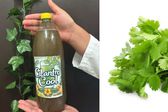 ¿Refresco de cilantro? Estudiantes mexicanos desarrollan bebida saludable y natural