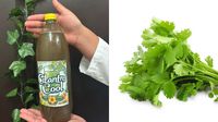 ¿Refresco de cilantro? Estudiantes mexicanos desarrollan bebida saludable y natural
