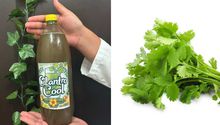 ¿Refresco de cilantro? Estudiantes mexicanos desarrollan bebida saludable y natural