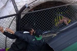 Jugadores de Almirante Brown se burlan de la afición de Nueva Chicago tras trifulca en el Clásico