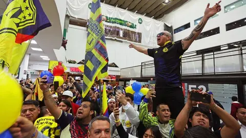 Fiesta azulcrema para recibir a Allan Saint-Maximin como crack mundial