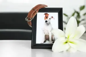Funeraria J. García López ahora ofrece servicio funerario para tu mascota