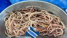Extraen 142 lombrices intestinales a niño de 7 años en Chiapas