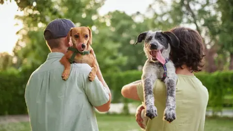¿El perro es tuyo o mío? CDMX prepara cambios para la custodia compartida de mascotas