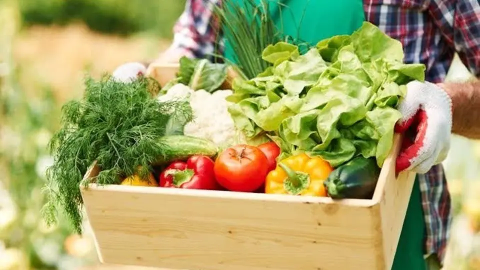Consumo local beneficia sostenibilidad alimentaria: La Cosmopolitana