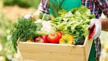 Consumo local beneficia sostenibilidad alimentaria: La Cosmopolitana