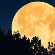 Superluna de esturión iluminará el cielo en agosto 2025