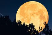 Superluna de esturión iluminará el cielo en agosto 2025