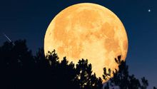 Superluna de esturión iluminará el cielo en agosto 2025