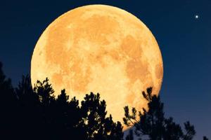Superluna de esturión iluminará el cielo en agosto 2025