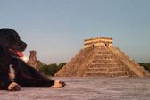 ¿Conoces a los Canes Sagrados de Kukulcán? Ellos cuidan la Zona Arqueológica de Chichen Itzá