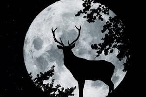 Luna de Ciervo; ¿qué es, cuándo y cómo disfrutar este evento astronómico?