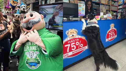 Primera veterinaria del Dr. Simi: Precios por consulta, dirección y más servicios a bajo costo