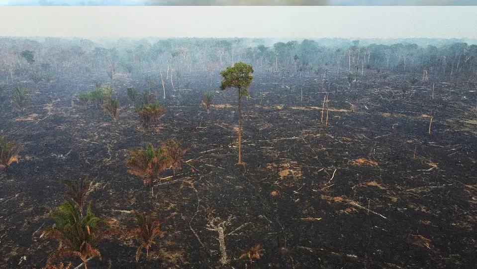 Durante las primeras dos semanas de octubre se contabilizaron mil 679 incendios en el estado de Amazonas / Especial