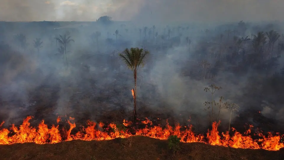 Incendios en la Amazonía aumentan 253%: Brasil investiga posibles quemas provocadas