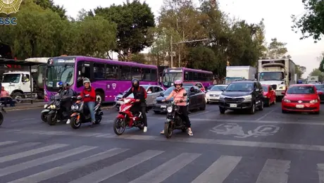 ¡Respira, CDMX! Suspenden contingencia ambiental ¿Cómo queda el Hoy No Circula?