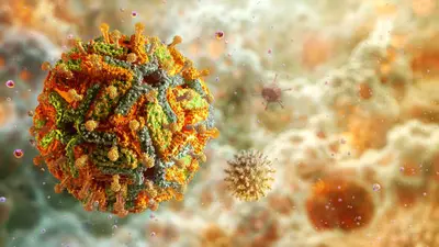 ¿Qué está pasando con la fiebre amarilla en América y por qué preocupa a la OMS?
