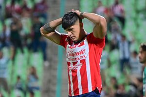 Alan Pulido: de cotizarse en millones a quedar sin empleo y sin futuro seguro