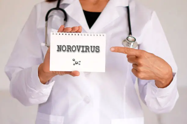 Más de 1,700 pasajeros y tripulantes fueron confinados temporalmente mientras se aplicaban protocolos sanitarios en Francia. / iStock