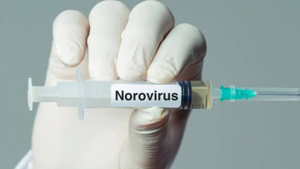 ¿Qué es el norovirus? El virus que encendió las alertas en un crucero de Burdeos