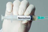 ¿Qué es el norovirus? El virus que encendió las alertas en un crucero de Burdeos