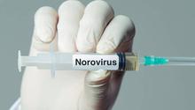 ¿Qué es el norovirus? El virus que encendió las alertas en un crucero de Burdeos