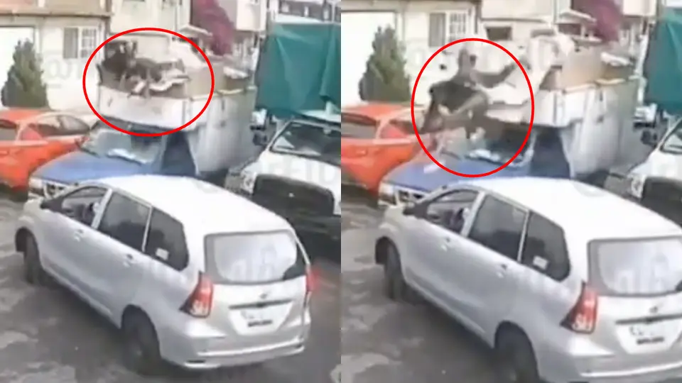 VIDEO: Madre e hijo salen disparados de camioneta del fierro viejo tras frenar de emergencia