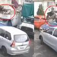 VIDEO: Madre e hijo salen disparados de camioneta del fierro viejo tras frenar de emergencia