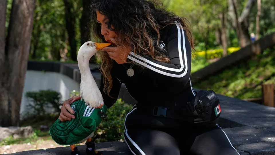 Merlín, el pato mexicano mundialista | AP