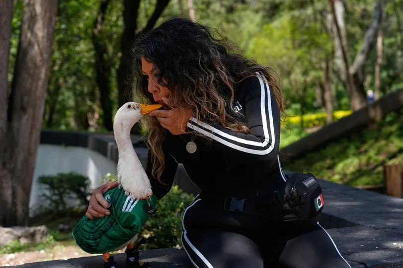 Merlín, el pato mexicano mundialista | AP