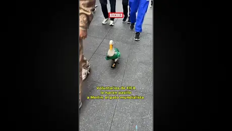 Merlín, el pato mundialista que se ha robado el cariño de los mexicanos