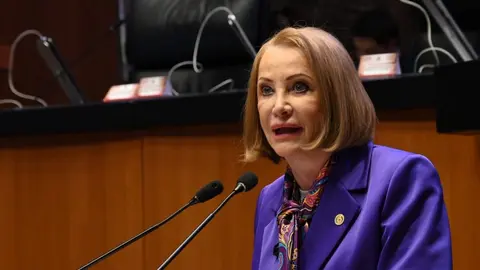 Laura Itzel Castillo cuenta con una trayectoria de más de tres décadas en cargos legislativos y de administración pública./ X