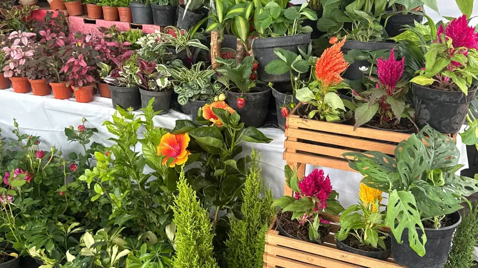 Uno de los objetivos centrales del evento es impulsar a los productores florícolas. / Georgina Sánchez