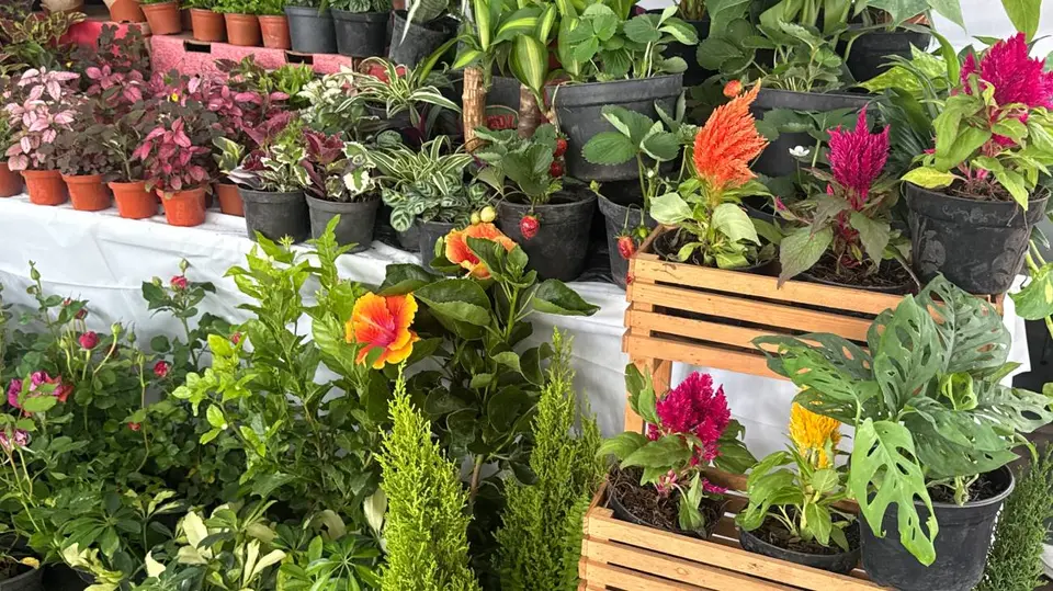 Uno de los objetivos centrales del evento es impulsar a los productores florícolas. / Georgina Sánchez