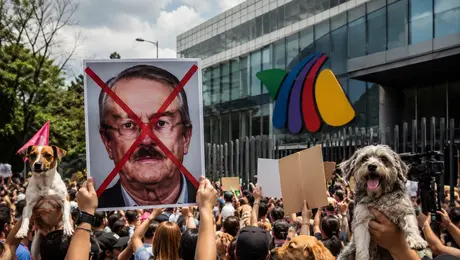 Convocan protesta contra Pedro Sola frente a TV Azteca; piden asistir con perros y carteles