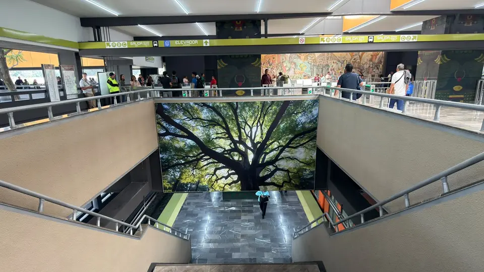 El proyecto contempla la compra de 45 trenes nuevos y la rehabilitación integral de las 21 estaciones./ Georgina Sánchez