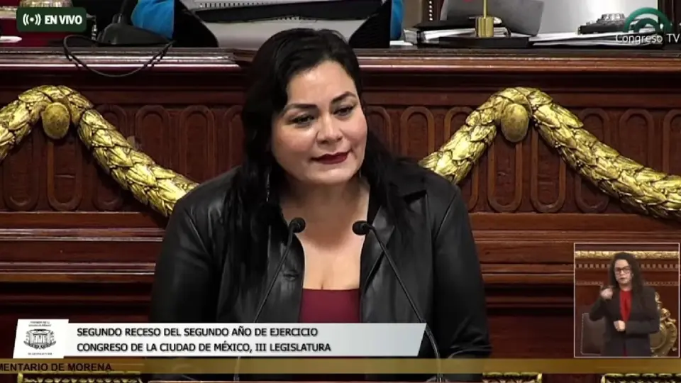La diputada local de Morena, Elizabeth Mateos, presentó en el Congreso local la Ley Anti Pedro Sola / Especial