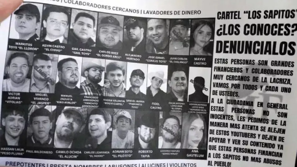 Los narcovolantes fueron distribuidos desde el aire por medio de una avioneta / Especial