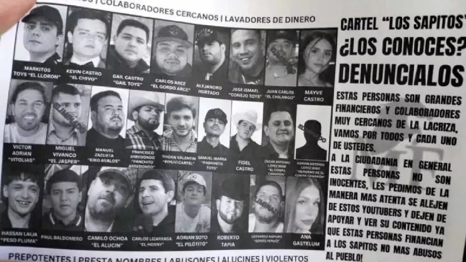 Los narcovolantes fueron distribuidos desde el aire por medio de una avioneta / Especial