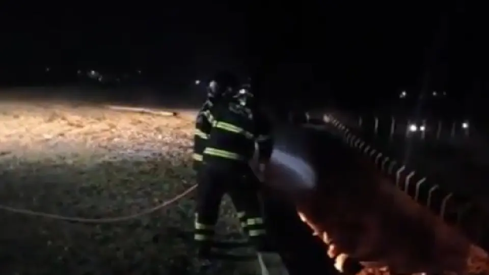 Equipos de emergencia acudieron para controlar el incendio / Captura de pantalla