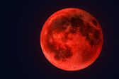 Luna de Sangre: ¿Cuándo, Dónde y Cómo Verla? ¡Descúbrelo Aquí!