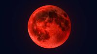 Luna de Sangre: ¿Cuándo, Dónde y Cómo Verla? ¡Descúbrelo Aquí!