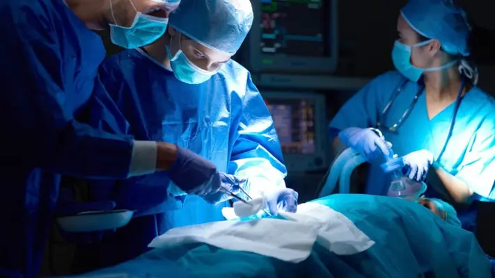 Transplantan con éxito riñón de cerdo a una mujer que sufría insuficiencia renal