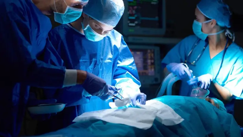 Transplantan con éxito riñón de cerdo a una mujer que sufría insuficiencia renal